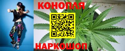 кокс Аргун