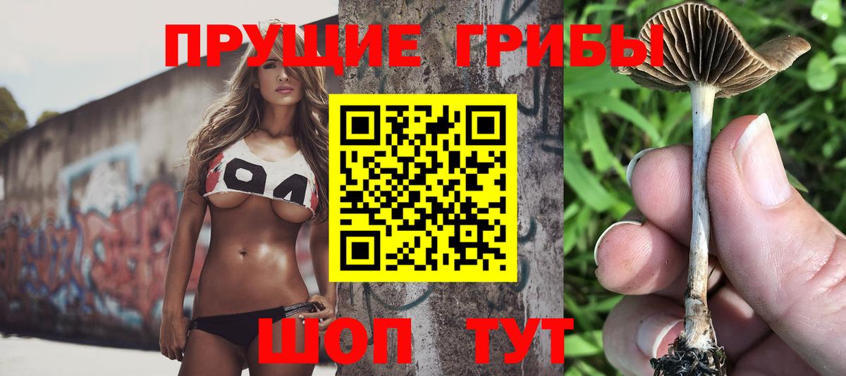 Волгоград  где найти наркотики  Вход с VPN  Псилоцибиновые грибы Psilocybine cubensis 
